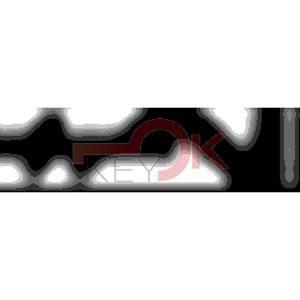 ERREBI - ZE443* - MULTIPROF. E PASS ESTERO - 05B-OTT