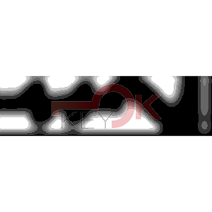 ERREBI - ZE447* - MULTIPROF. E PASS ESTERO - 05B-OTT