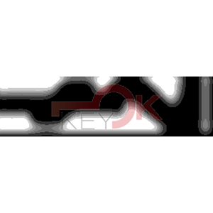 ERREBI - ZE453* - MULTIPROF. E PASS ESTERO - 05B-OTT