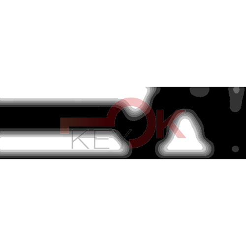 ERREBI - PH21R - MULTIPROF. E PASS ESTERO - 05B-ACC