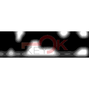 ERREBI - PH24 - MULTIPROF. E PASS ESTERO - 05B-ACC