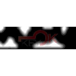 ERREBI - PH26 - MULTIPROF. E PASS ESTERO - 05B-ACC