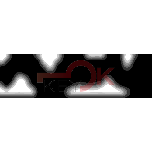 ERREBI - PH26 - MULTIPROF. E PASS ESTERO - 05B-ACC