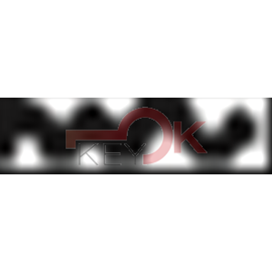 ERREBI - PH27 - MULTIPROF. E PASS ESTERO - 05B-ACC