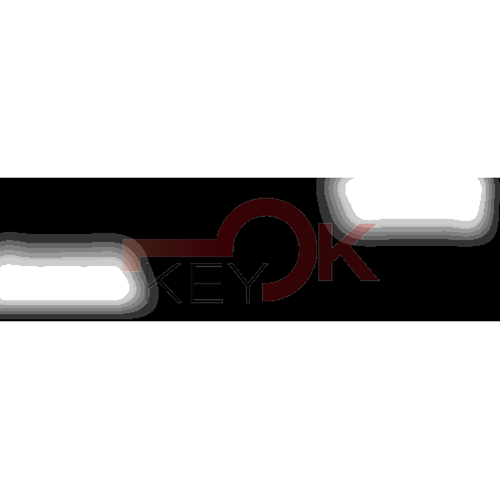 ERREBI - DS4R - GAMMA DI SERVIZIO AUTO - 17S-ACC