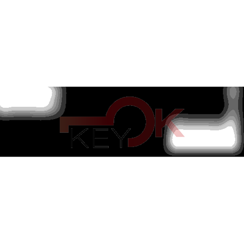 ERREBI - GM29P94 - GAMMA DI SERVIZIO AUTO TESTA PLAST. - 20S-ACC