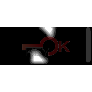 ERREBI - NE71P71 - AUTO SPECIALI ACCIAIO-OTTONE TESTA PLAST. - 21B-OTT