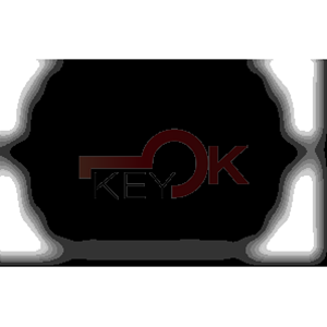 ERREBI - TB2P96 - AUTO SPECIALI ALPACCA TESTA PLAST. - 21H-ALP