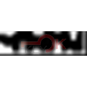 ERREBI - FC13 - MULTIPROF. E PASS ESTERO (05B-ACC)