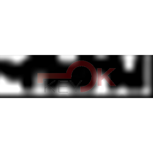 ERREBI - FC13 - MULTIPROF. E PASS ESTERO (05B-ACC)