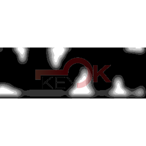 ERREBI - ROS1* - SPECIALI ESTERO - 06B-OTT