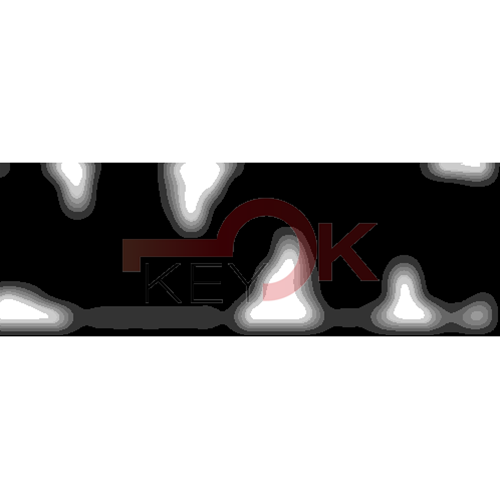 ERREBI - ROS1* - SPECIALI ESTERO - 06B-OTT