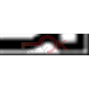 ERREBI - ILC1* - GAMMA DI SERVIZIO ESTERO - 03S-OTT