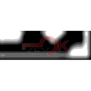 ERREBI - PS2 - GAMMA DI SERVIZIO AUTO - 17S-ACC