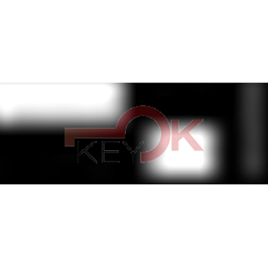 ERREBI - SQ9R - GAMMA DI SERVIZIO ESTERO - 03S-ACC