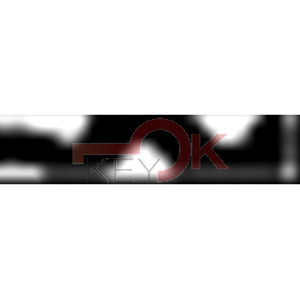 ERREBI - TEI1 - GAMMA DI SERVIZIO ESTERO - (03S-ACC)