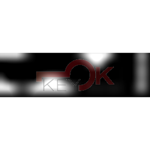 ERREBI - TFN1 - GAMMA DI SERVIZIO ESTERO - 03S-ACC