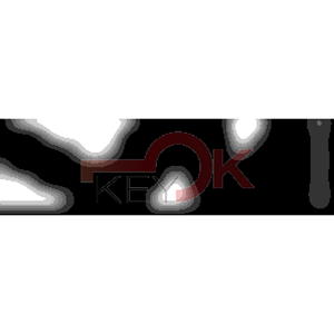 ERREBI - WST1 - GAMMA DI SERVIZIO ESTERO - 03S-ACC