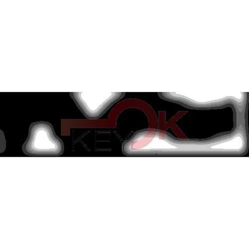 ERREBI - F-RU14 - FASHION PESCI ASSORTITI - 55C-OTT