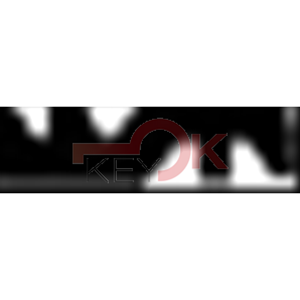 ERREBI - T8* - SPECIALI NAZIONALI - 06A-OTT