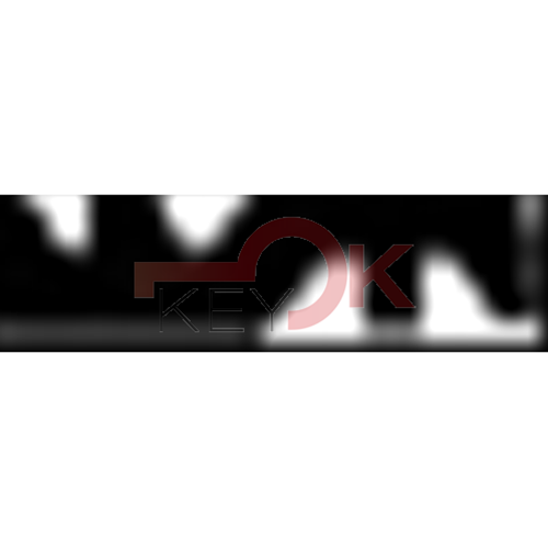 ERREBI - T8* - SPECIALI NAZIONALI - 06A-OTT