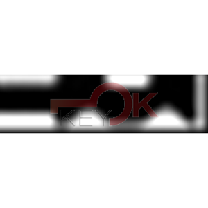 ERREBI - FT12 - GAMMA DI SERVIZIO ESTERO - 03S-ACC