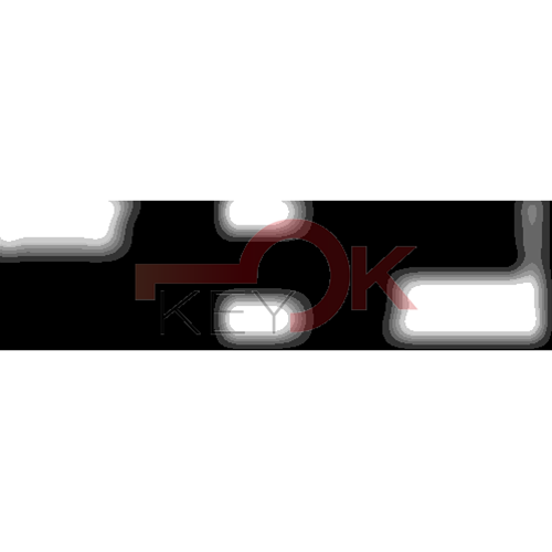 ERREBI - GM21P104 - AUTO SPECIALI U.S.A TESTA PLAST. - 21F-OTT