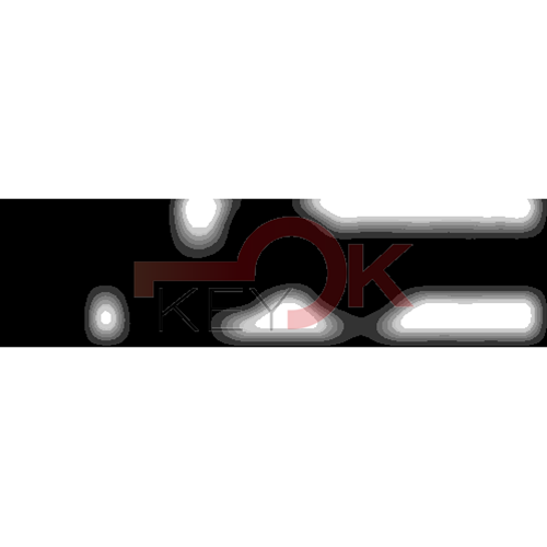 ERREBI - RU46 LUC - MULTIPROF. E PASS ESTERO - 05B-OTT