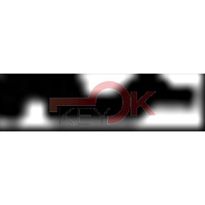 ERREBI - TG1 - PROFILI ESTERO - 03A-ACC