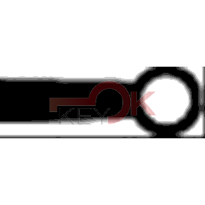 ERREBI - 4JN1 - FEMMINE STILE ANTICO - 631-OTT