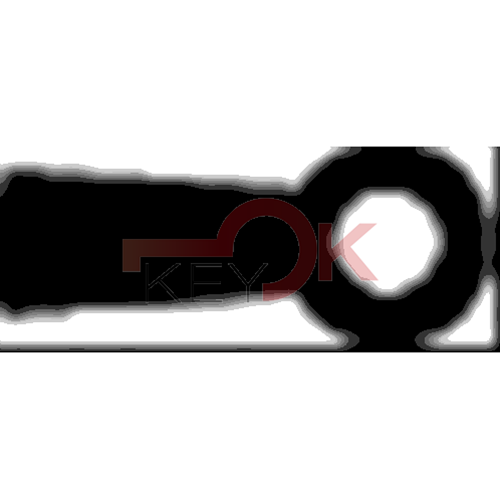 ERREBI - 4JV1 - FEMMINE STILE ANTICO - 631-OTT