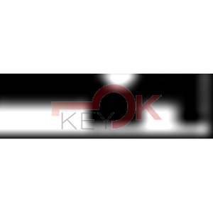 ERREBI - AML1R* - PROFILI ESTERO - 03A-OTT