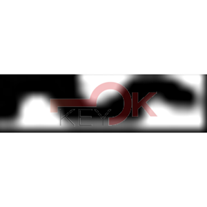 ERREBI - BSI1 - PROFILI ESTERO - 03A-ACC