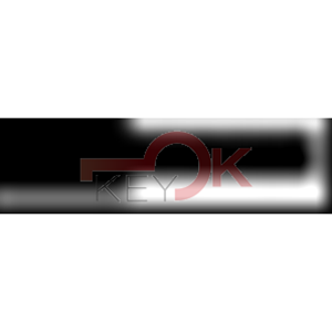 ERREBI - BUS1 - PROFILI ESTERO - 03A-ACC