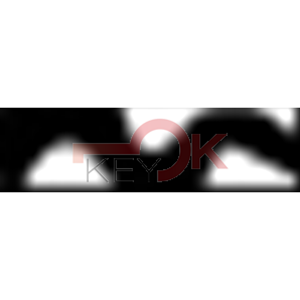 ERREBI - AA5D* - GAMMA DI SERVIZIO ESTERO - 03S-OTT