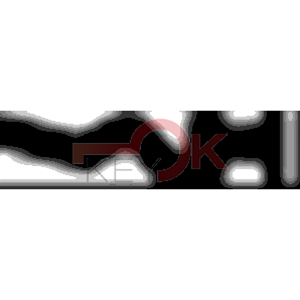 ERREBI - RU1* - MULTIPROF. E PASS ESTERO - 05B-OTT