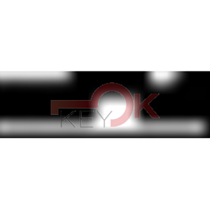 ERREBI - AU81 - GAMMA DI SERVIZIO ESTERO - 03S-ACC